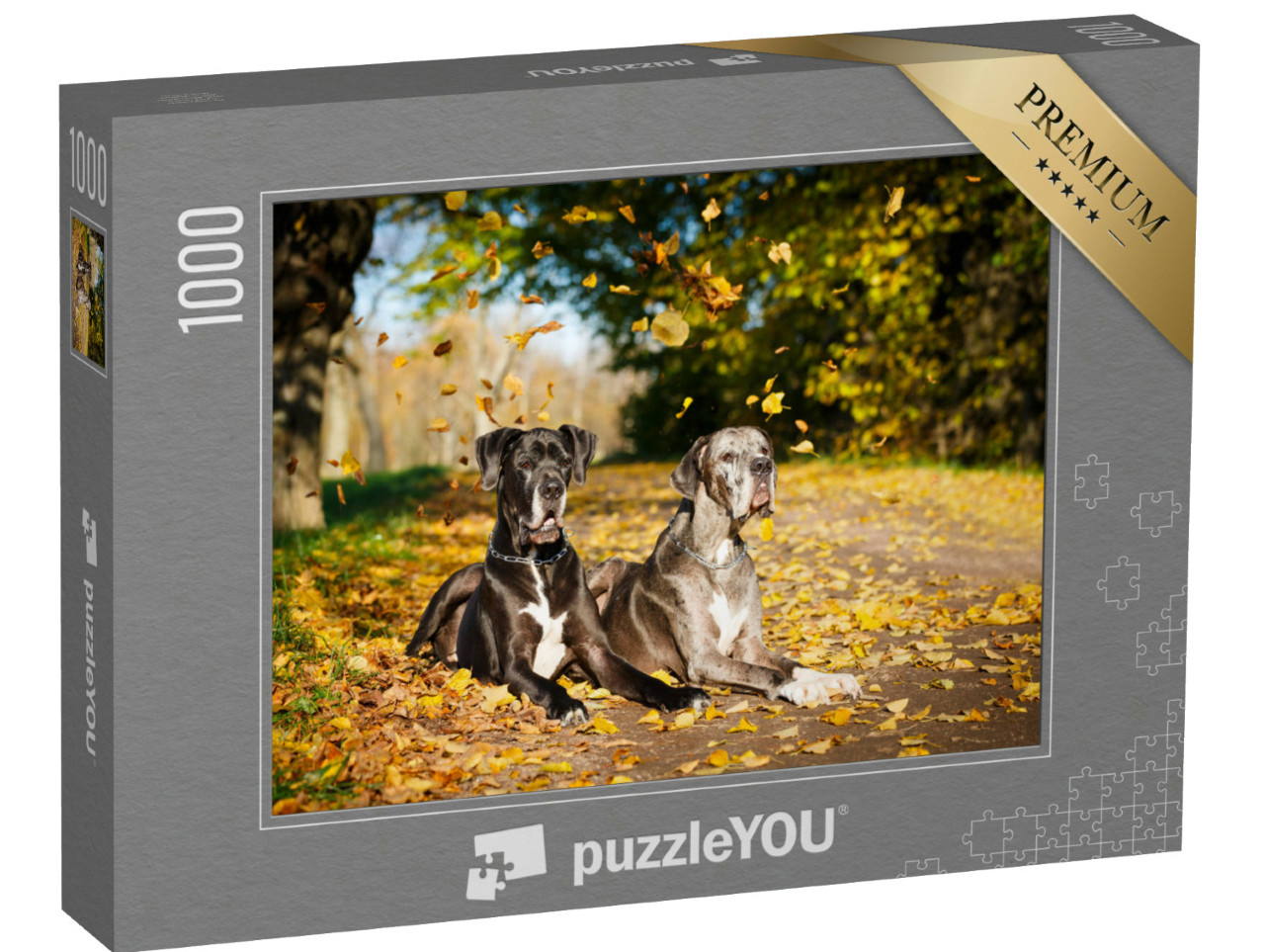 puzzle 1000 dílků „Dva psi německé dogy“