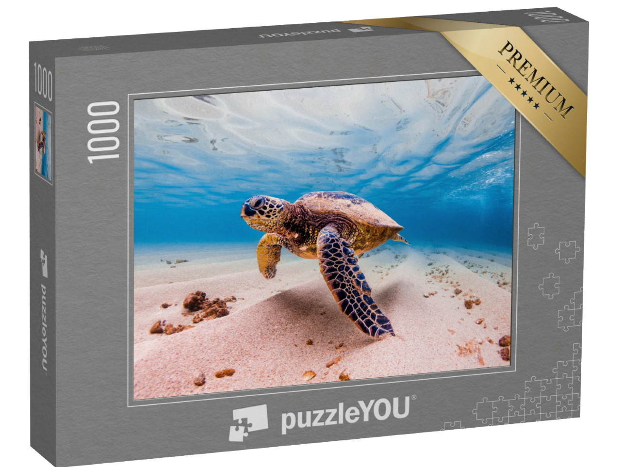 puzzle 1000 dílků „Zelená mořská želva, Havaj, vzácné zvíře“