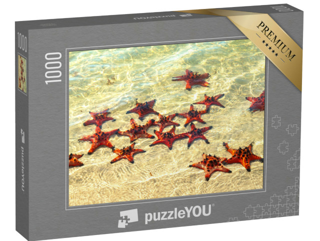 puzzle 1000 dílků „Hvězdice při opalování“