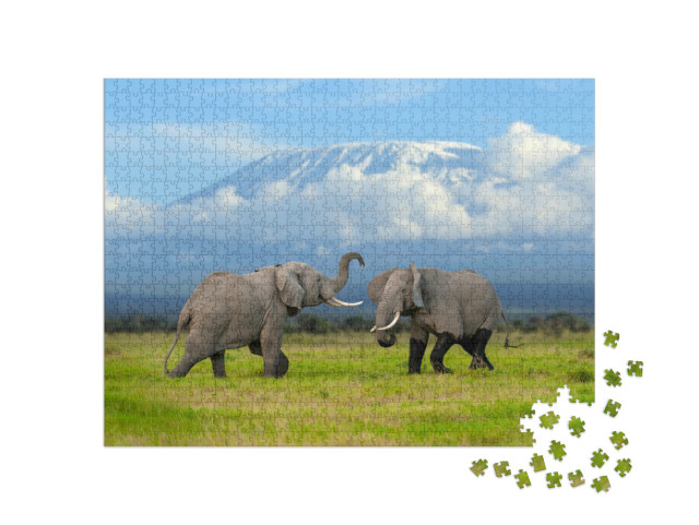 puzzle 1000 dílků „Slon před zasněženým Kilimandžárem, Afrika“