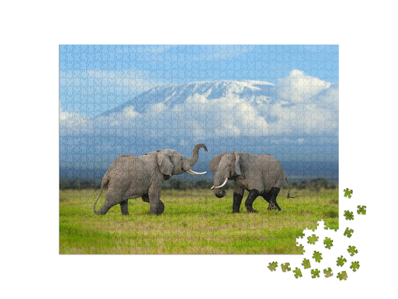 puzzle 1000 dílků „Slon před zasněženým Kilimandžárem, Afrika“