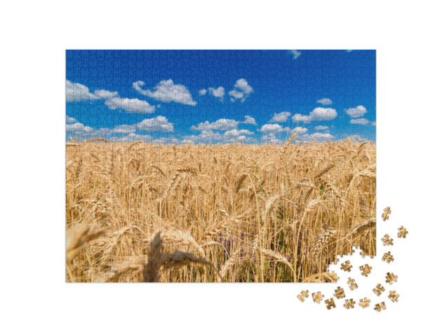 puzzle 1000 dílků „Zlaté pšeničné pole pod jasně modrou oblohou“