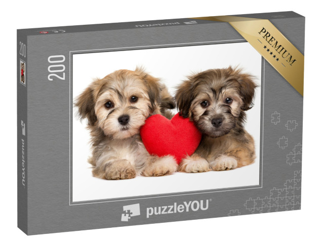 puzzle 200 dílků „Štěňata havanského psíka“
