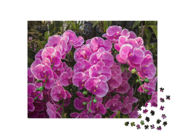 puzzle 1000 dílků „Moře květů v orchidejové zahradě“