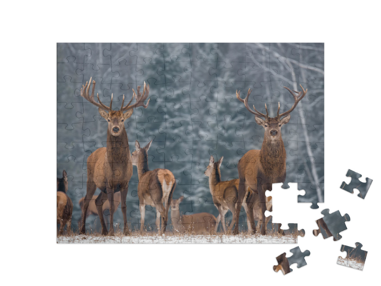 puzzle 100 dílků „Stádo jelenů v zimním lese“