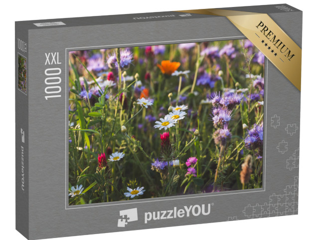 puzzle 1000 dílků XXL „Barevná kvetoucí bylinková louka s fialově kvetoucími facelii a měsíčky lékařskými“
