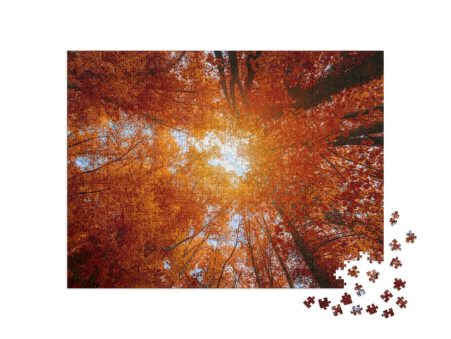puzzle 1000 dílků „Barevné koruny stromů v podzimním lese“