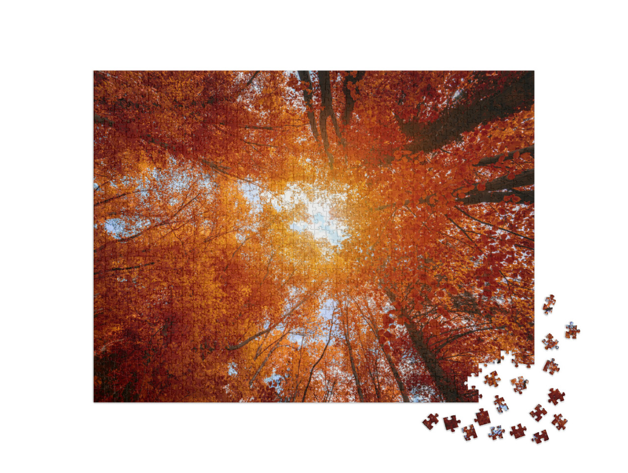 puzzle 1000 dílků „Barevné koruny stromů v podzimním lese“