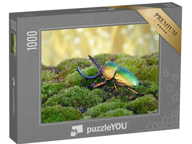 puzzle 1000 dílků „Brouk pilořitka neboli jelenka, jeden z nejkrásnějších brouků na světě.“