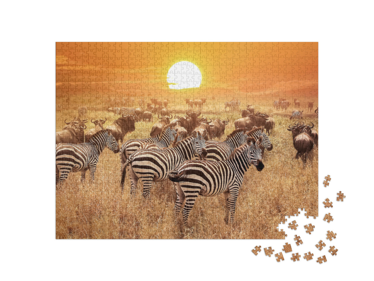 puzzle 1000 dílků „Zebra při západu slunce v národním parku Serengeti, Afrika, Tanzanie“