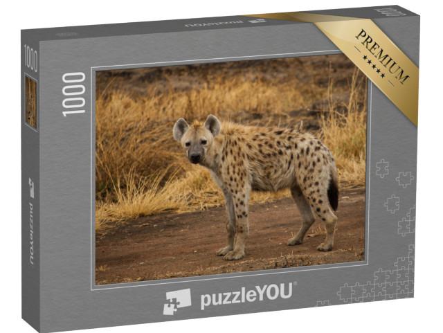 puzzle 1000 dílků „Hyena skvrnitá v savaně“