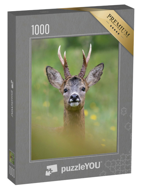 puzzle 1000 dílků „Portrét jelena v jeho přirozeném prostředí“