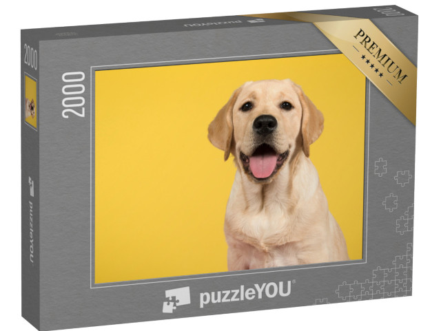 puzzle 2000 dílků „Portrét zlatého labradorského retrívra“