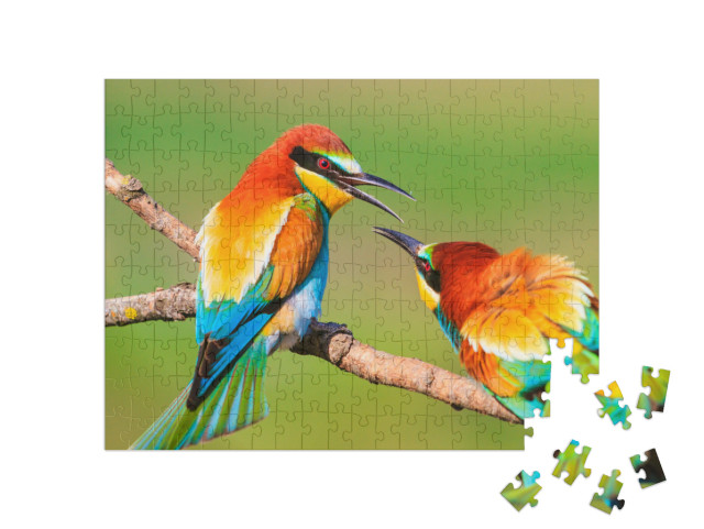 puzzle 200 dílků „Dva krásně barevní ptáci na větvi“