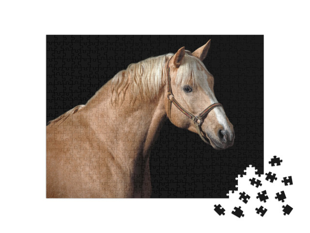 puzzle 500 dílků „Kůň Palomino“