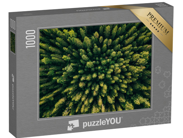 puzzle 1000 dílků „Pohled na jehličnatý les z ptačí perspektivy“
