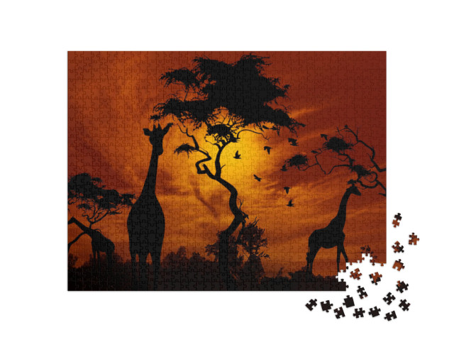 puzzle 1000 dílků „Žirafy v záři zapadajícího slunce“