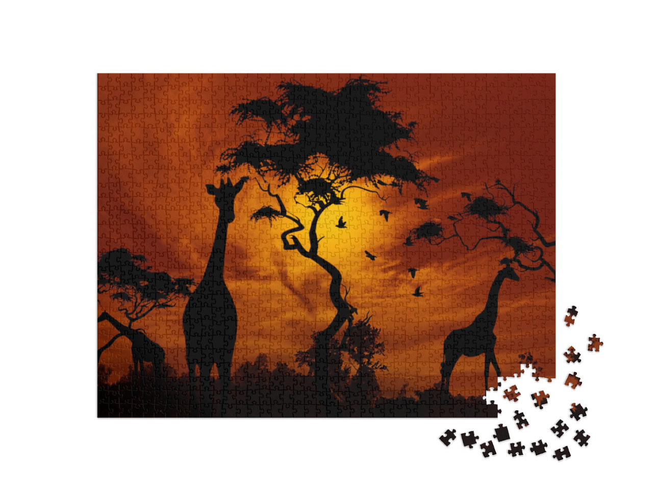 puzzle 1000 dílků „Žirafy v záři zapadajícího slunce“