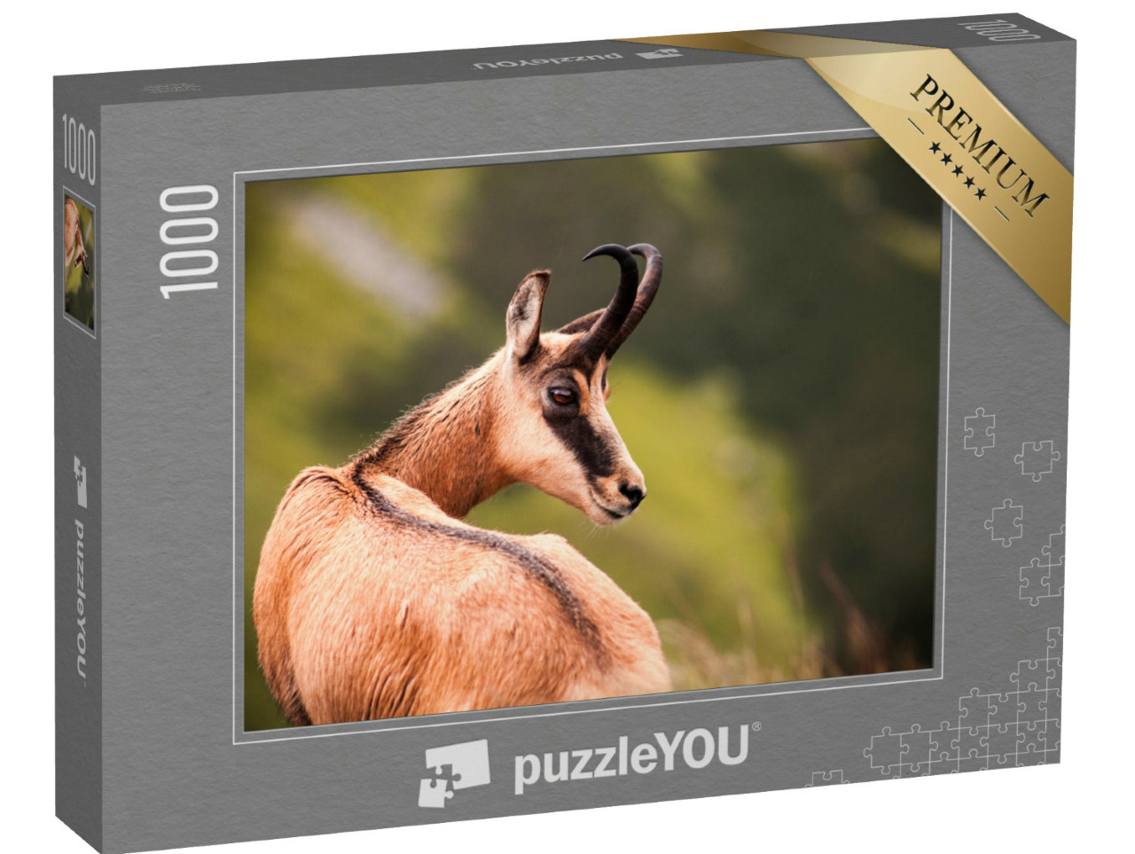 puzzle 1000 dílků „Portrét kamzíka v přírodě“