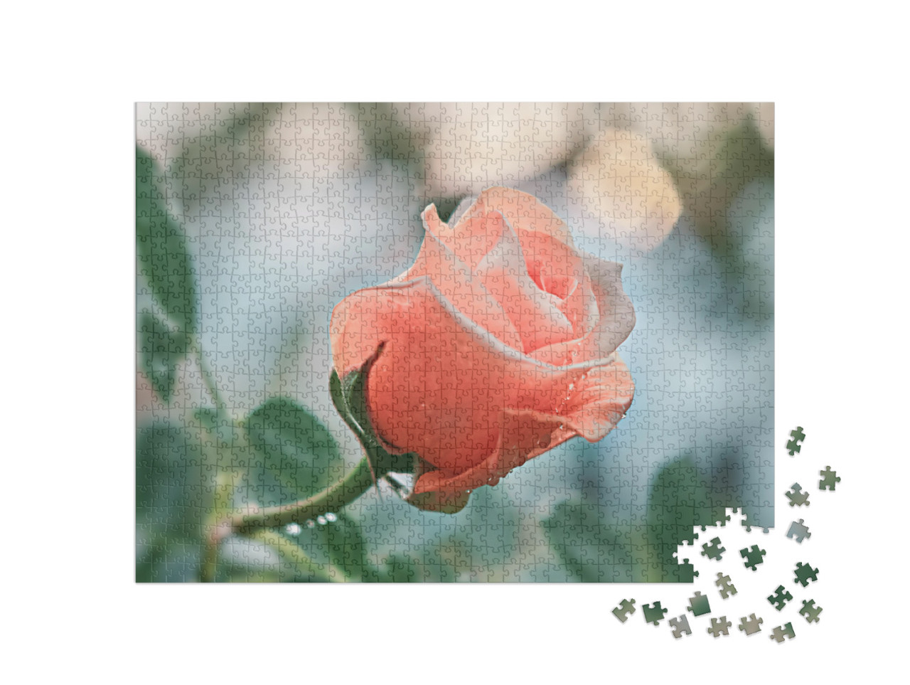 puzzle 1000 dílků „Růžové květy s růžemi“