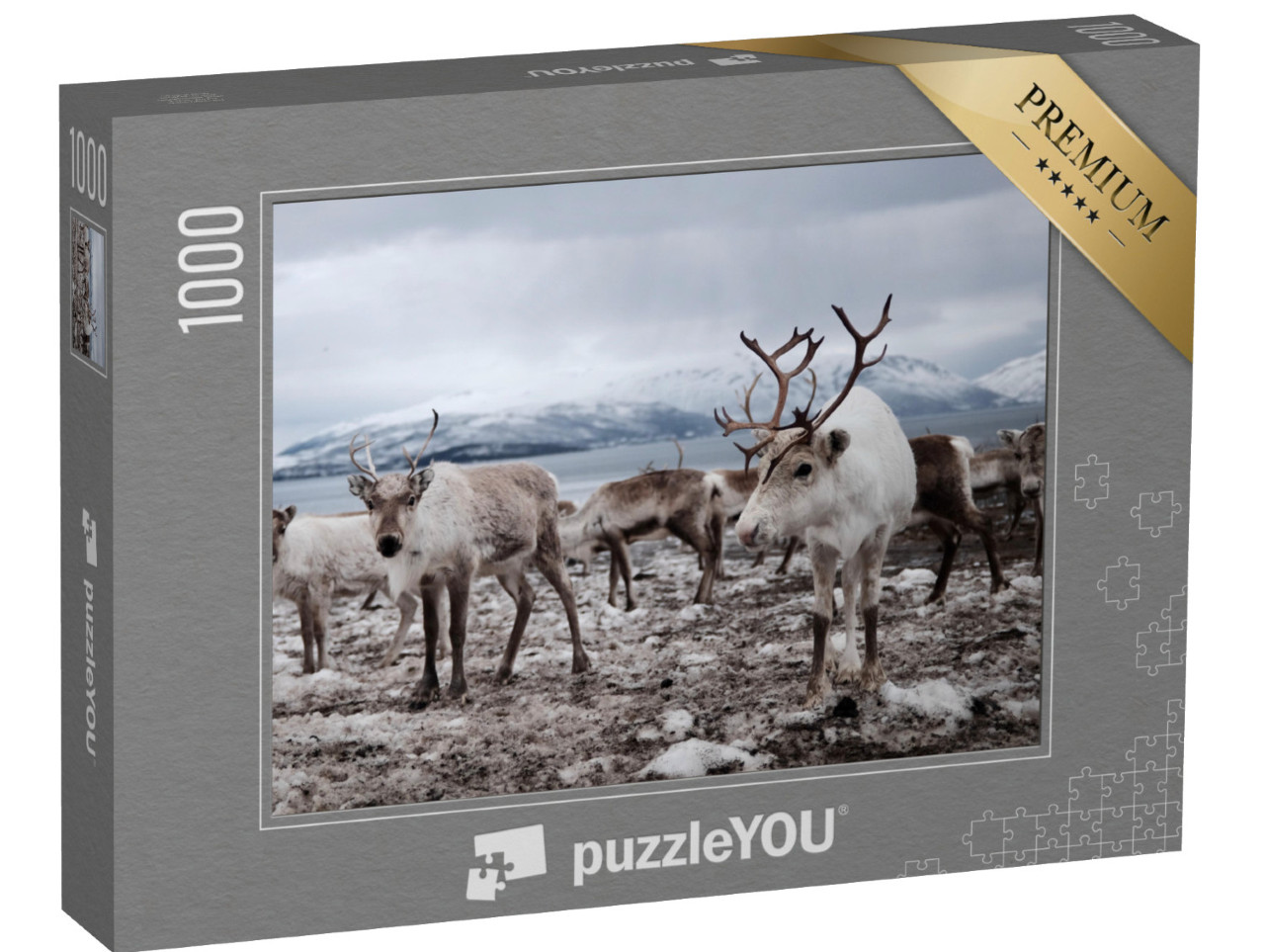 puzzle 1000 dílků „Stádo sobů na poli“