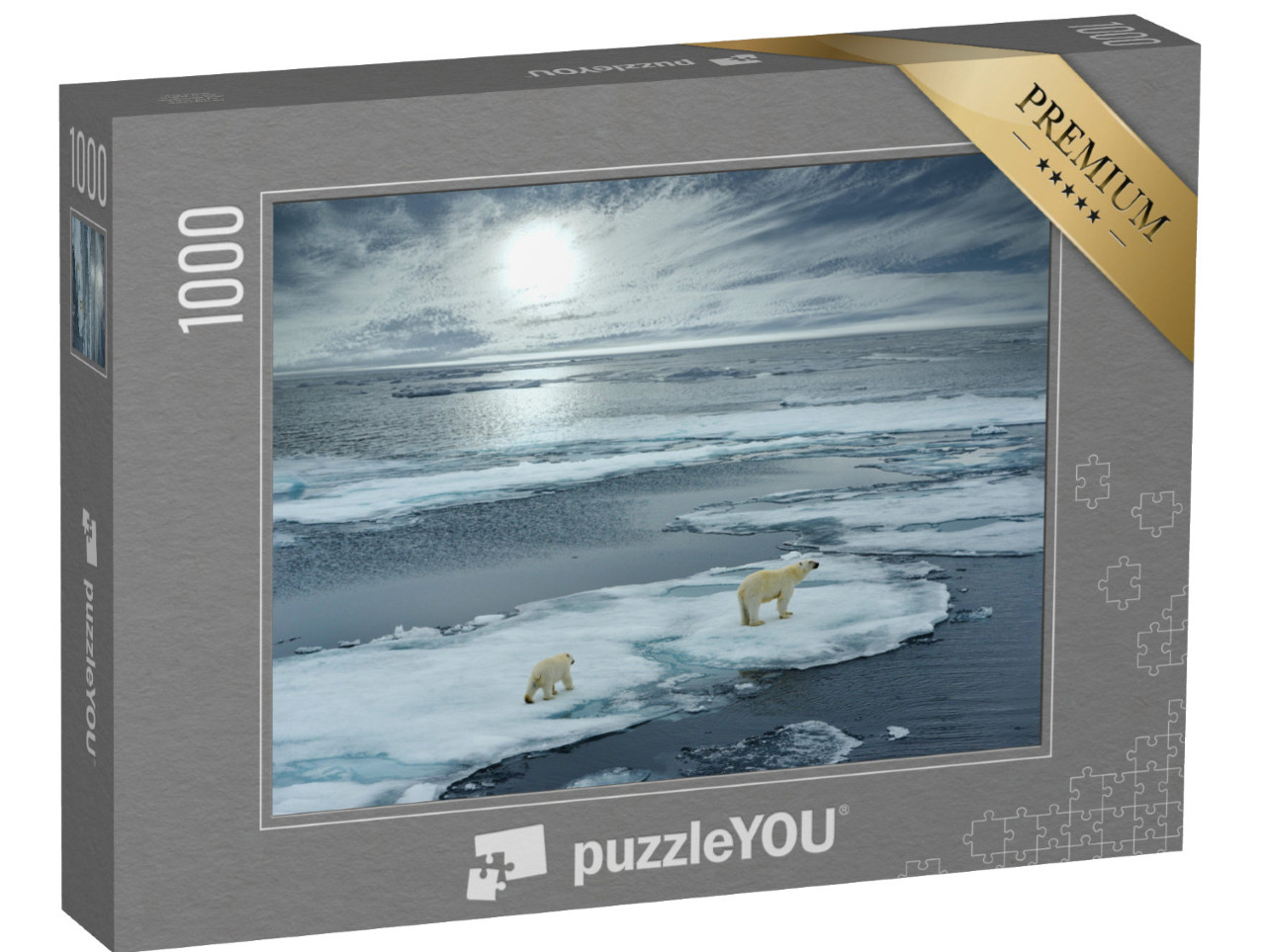 puzzle 1000 dílků „Lední medvěd s mládětem na ledové kře, Norsko“