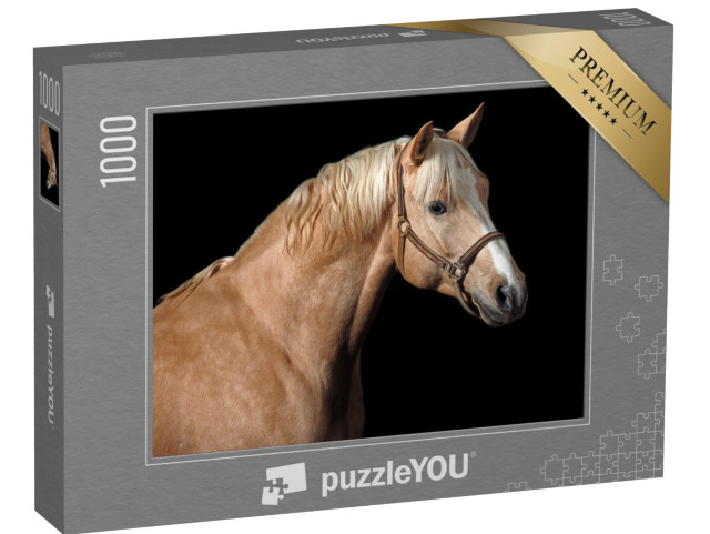 puzzle 1000 dílků „Kůň Palomino“