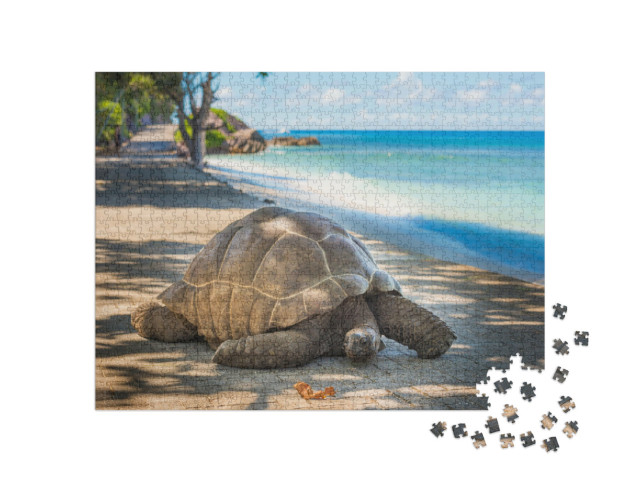puzzle 1000 dílků „Seychelská želva obrovská“