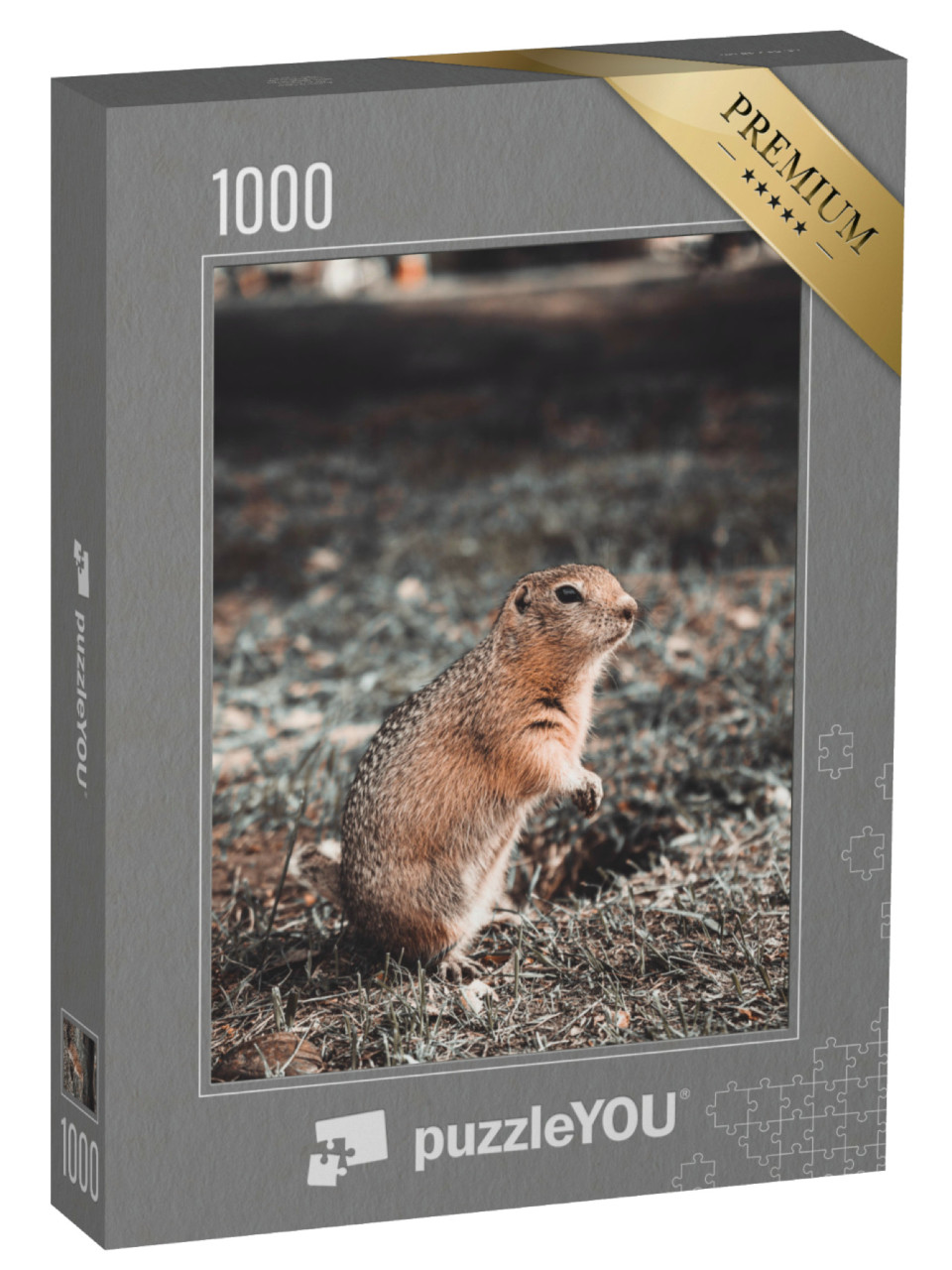 puzzle 1000 dílků „Sysel kapesní při jídle ve své noře na mýtině, podzim“