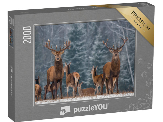 puzzle 2000 dílků „Stádo jelenů v zimním lese“