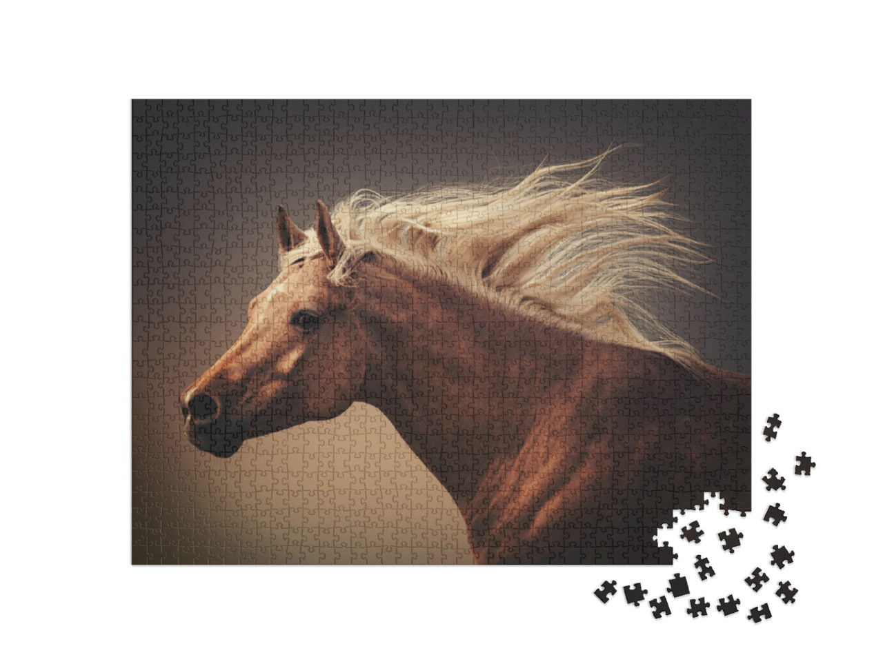 puzzle 1000 dílků „Kůň s vlající hřívou v prachu cvalu“