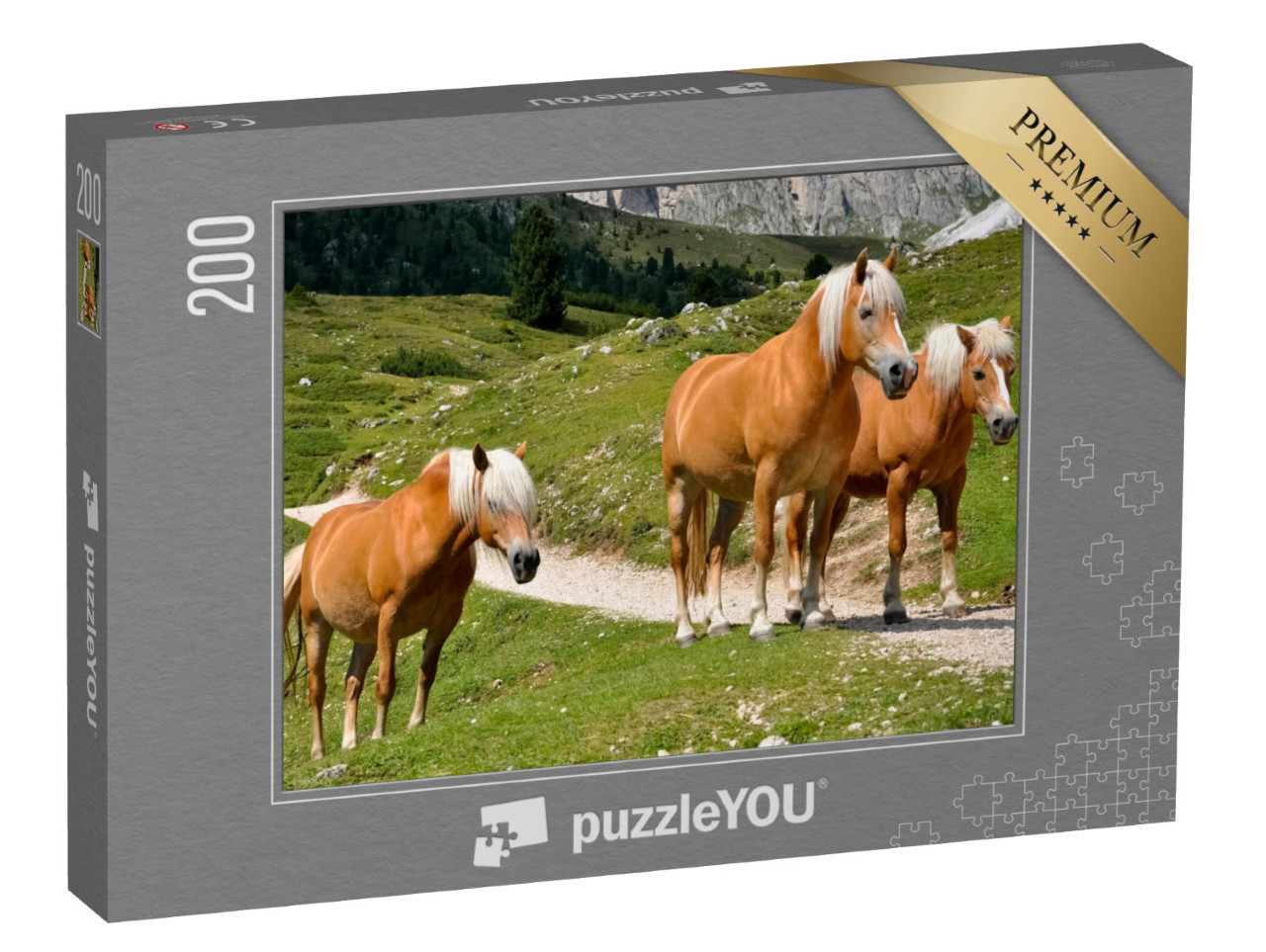 puzzle 200 dílků „Tři haflingští koně na horské pastvině v Jižním Tyrolsku, Itálie“