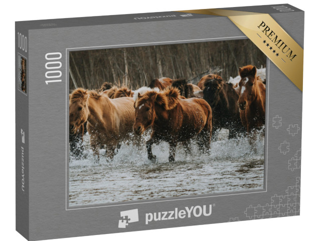 puzzle 1000 dílků „Velká skupina hnědých a bílých koní v lesní oblasti v Mongolsku“