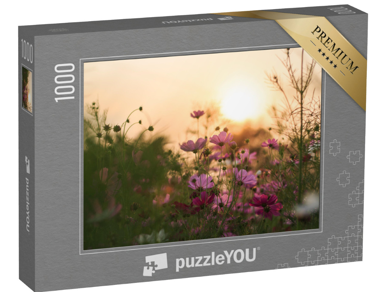 puzzle 1000 dílků „Cosmea v květu ve večerním světle“