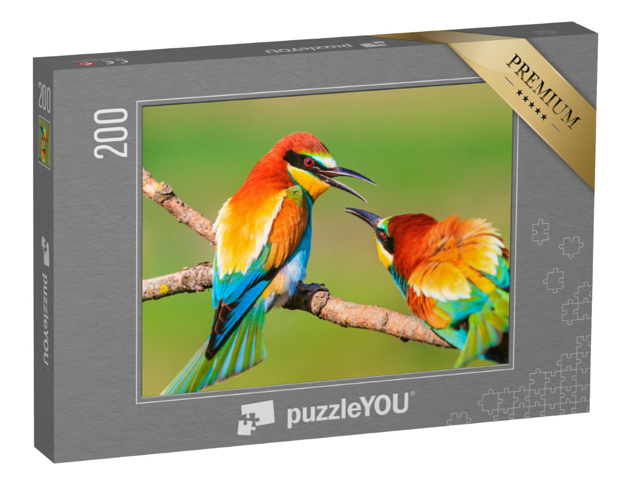 puzzle 200 dílků „Dva krásně barevní ptáci na větvi“