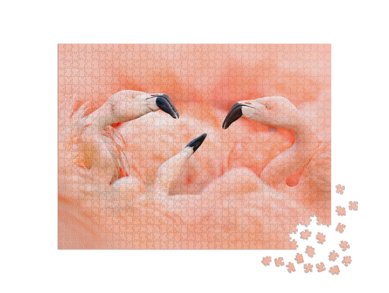 puzzle 1000 dílků „Růžoví plameňáci“