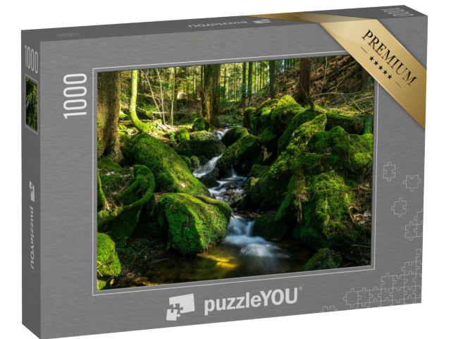 puzzle 1000 dílků „Malá řeka v Bavorském lese, Německo“