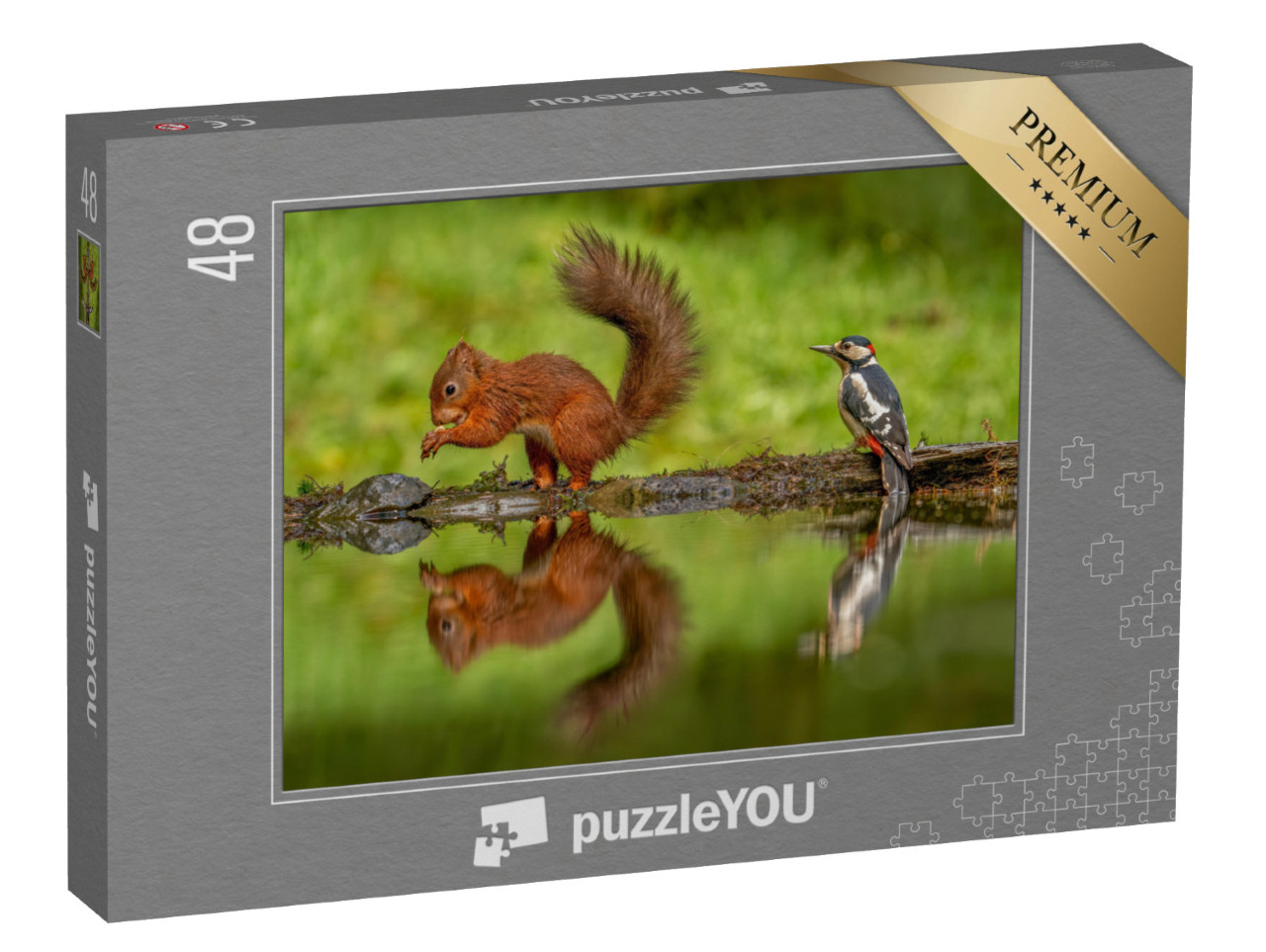 puzzle 48 dílků „Veverka obecná a datel velký“