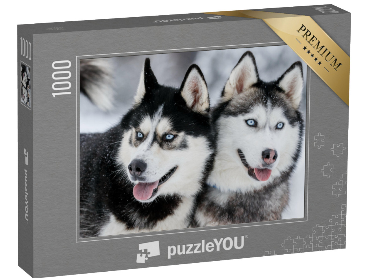 puzzle 1000 dílků „Sibiřští huskyové s ocelově modrýma očima“