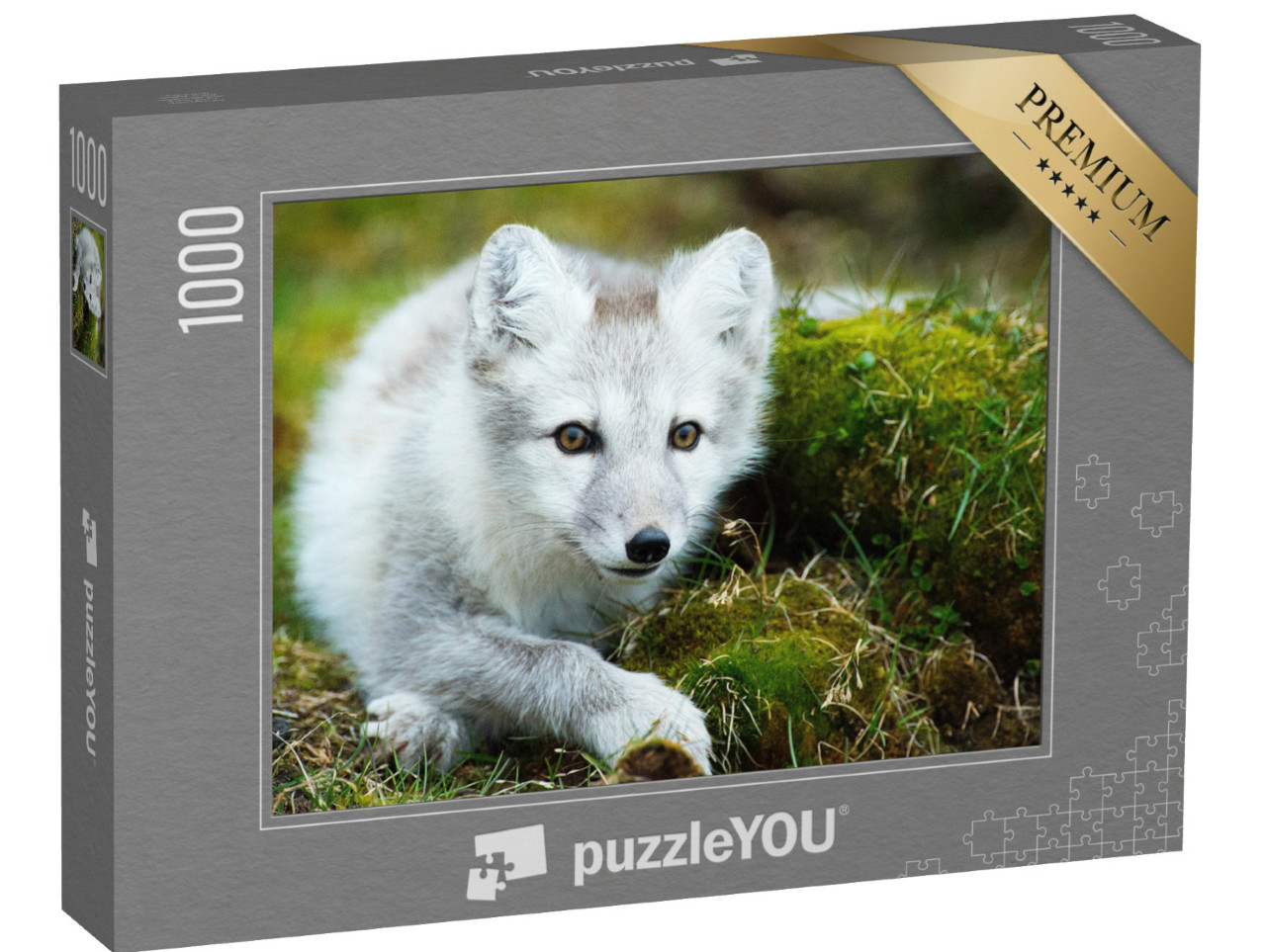 puzzle 1000 dílků „Liška polární se probouzí po spánku“