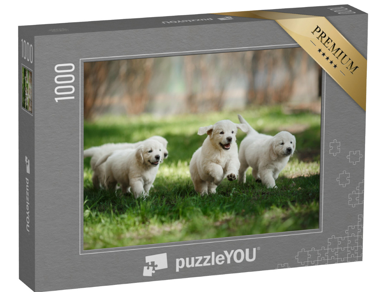 puzzle 1000 dílků „Štěňata zlatého retrívra v parku“