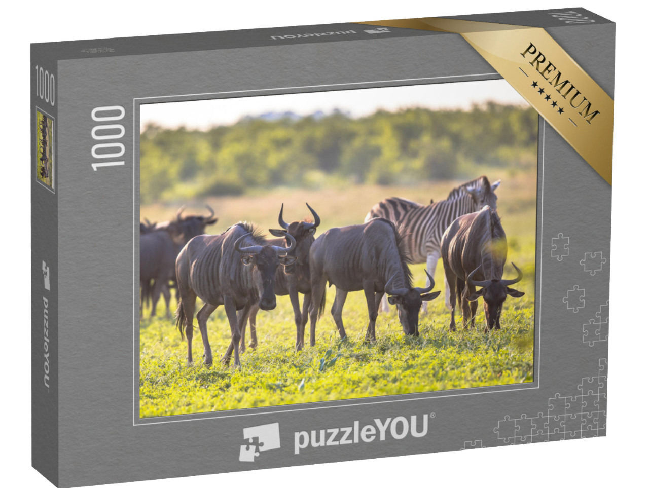 puzzle 1000 dílků „Pastevci pakoňů v korytě řeky Mooiplaas“