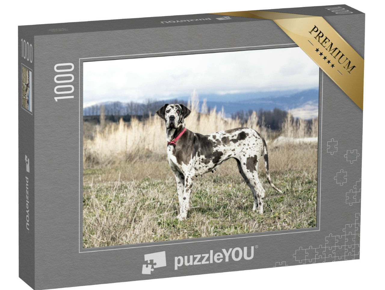 puzzle 1000 dílků „Fena harlekýnského mastifa, známá také jako německá doga“