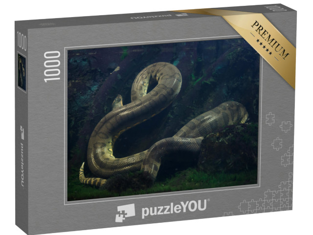 puzzle 1000 dílků „Anakonda zelená, Eunectes murinus“