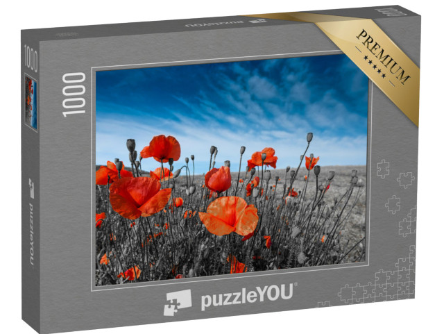 puzzle 1000 dílků „Vlčí máky na louce“