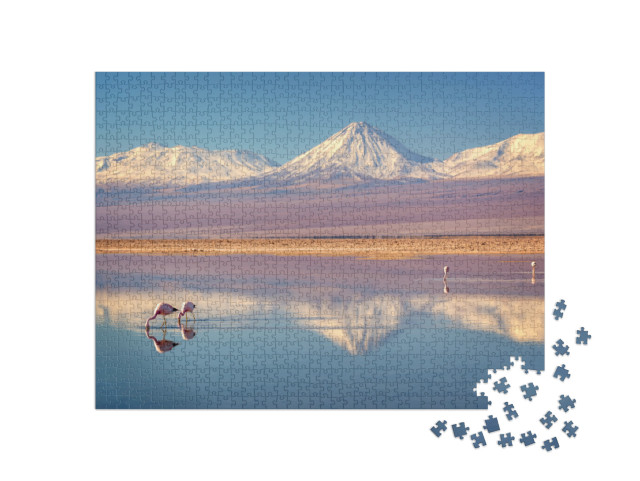 puzzle 1000 dílků „Sopka Licancabur a Laguna Chaxa, Chile“