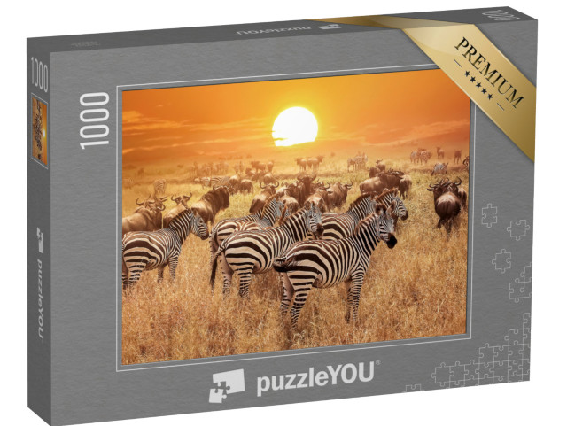 puzzle 1000 dílků „Zebra při západu slunce v národním parku Serengeti, Afrika, Tanzanie“