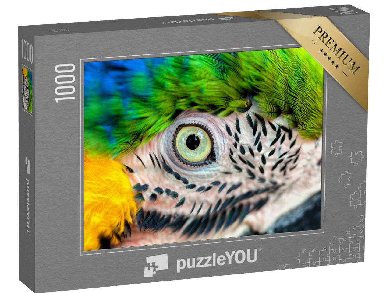 puzzle 1000 dílků „Detailní záběr: Papouščí oko“
