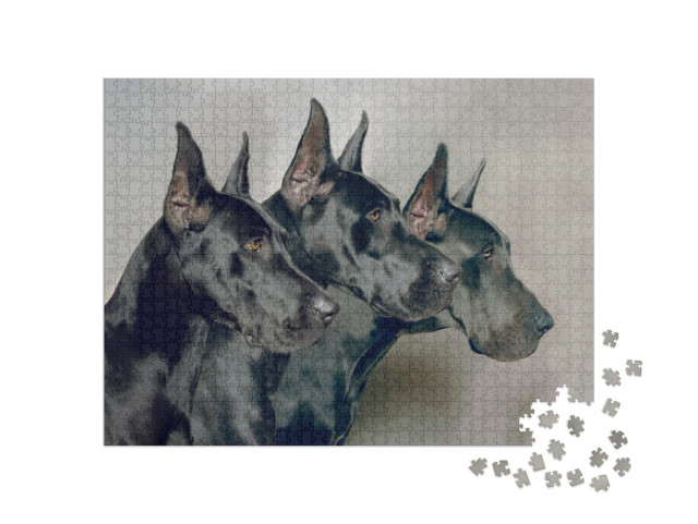 puzzle 1000 dílků „Tři generace německých dog“