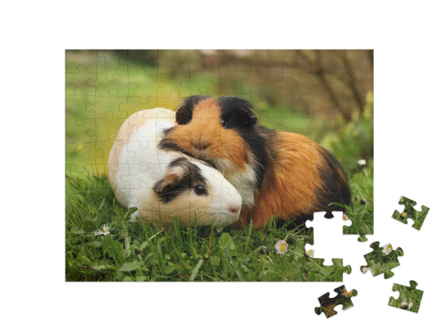 puzzle 100 dílků „Přátelé morčat“